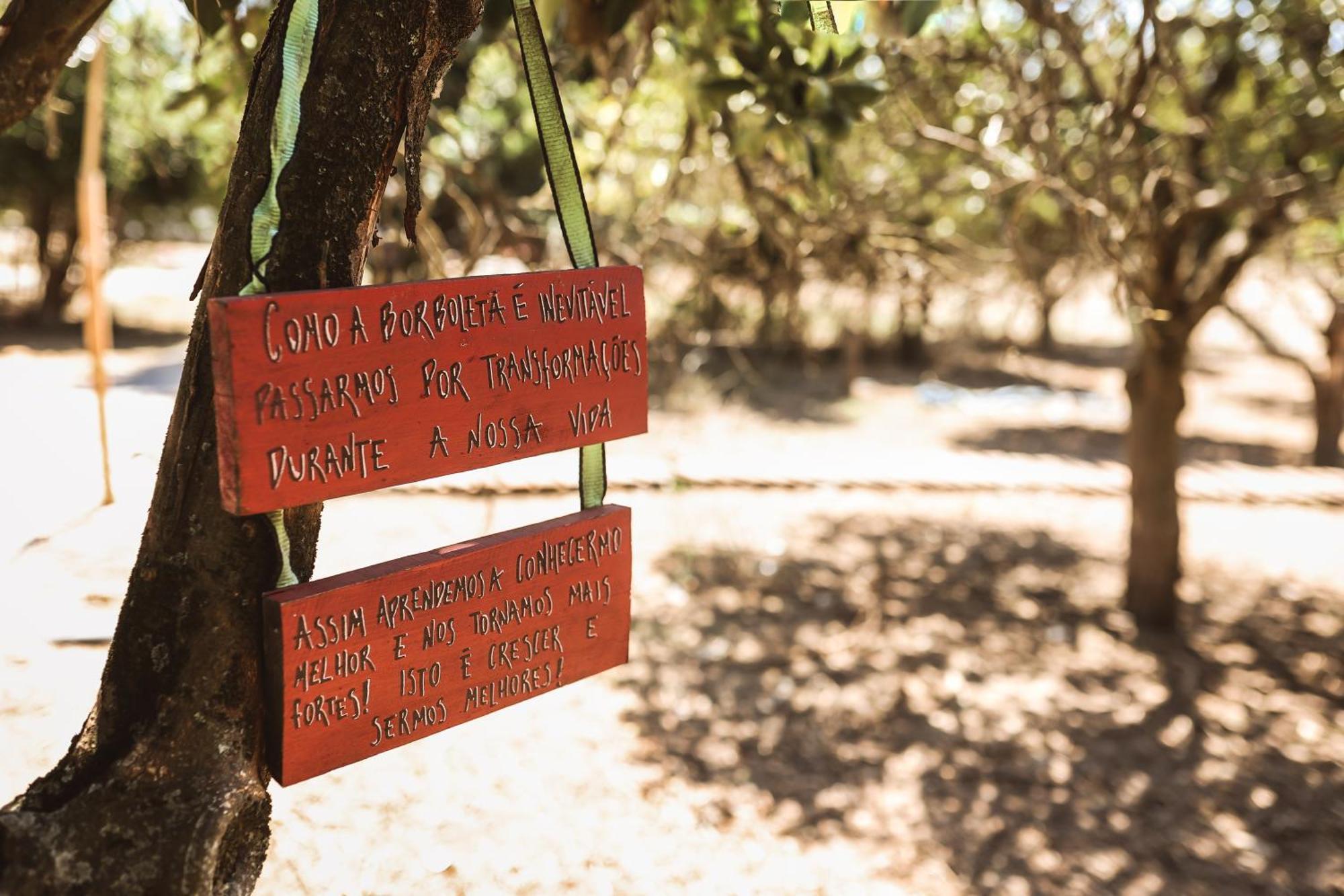 Quinta Das Cacadoras - Animal Lovers Only Palmela Buitenkant foto